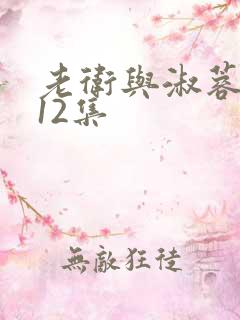 老卫与淑蓉1一12集