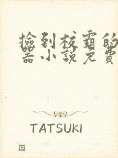 捡到校霸的遥控器小说免费阅读