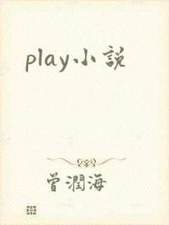 play小说