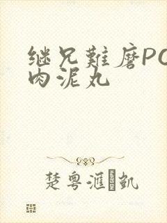 继兄难磨PO猪肉泥丸