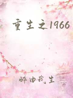 重生之1966