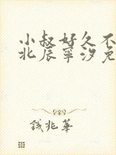 小叔好久不见顾北辰宁汐免费阅读