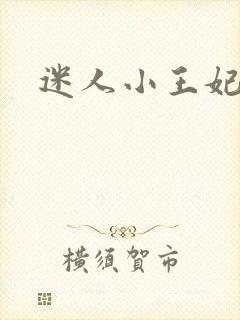 迷人小王妃