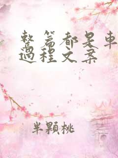 整篇都是车的肉过程文案