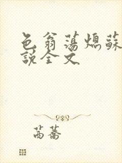 色翁荡熄苏钥小说全文