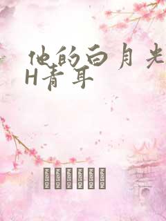 他的白月光HVH青耳