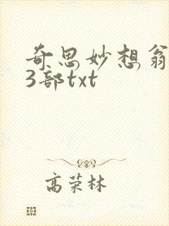 奇思妙想翁乱13部txt