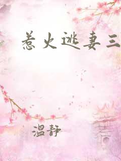 惹火逃妻三带一