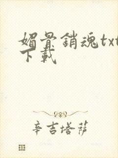 媚骨销魂txt下载