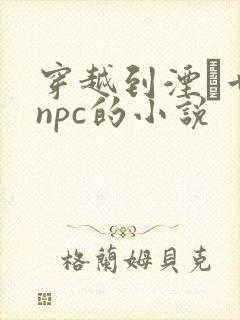 穿越到湮婸世界npc的小说