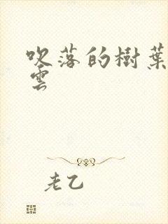 吹落的树叶百度云