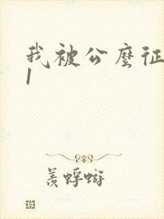 我被公么征服了1