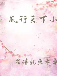 风行天下小说