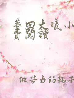 梦回大曦小说免费阅读