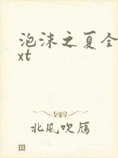 泡沫之夏全集txt