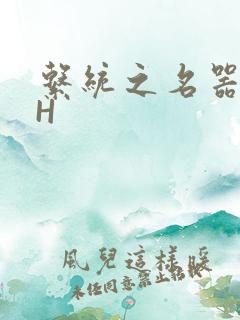 系统之名器勾男H