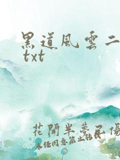 黑道风云二十年 txt