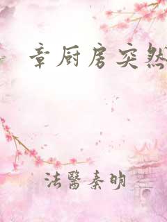 章厨房突然挺入