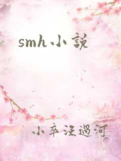 smh小说