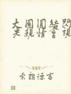 大团圆结闪闪发光亲情会视频