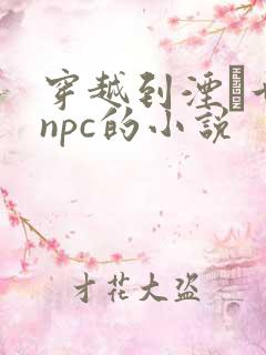 穿越到湮婸世界npc的小说