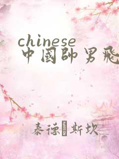 chinese中国帅男飞机