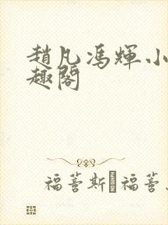 赵凡冯辉小说笔趣阁