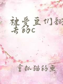 被爱豆们翻来覆去的c