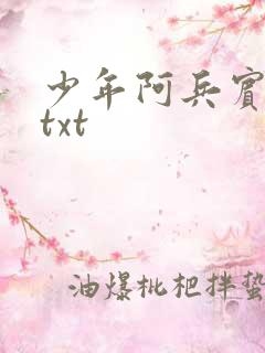 少年阿兵宾小说txt