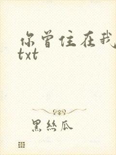 你曾住在我心上txt