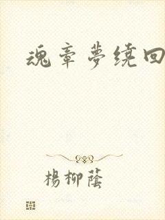 魂牵梦绕回大清