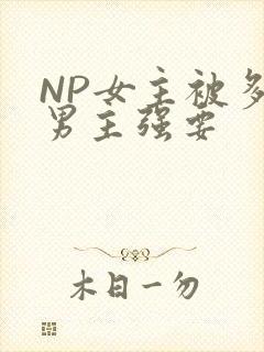 NP女主被多个男主强要