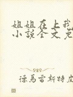 姐姐在上我在下小说全文免费阅读