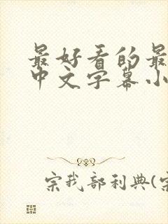 最好看的最新的中文字幕小说