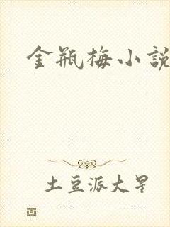 金瓶梅小说