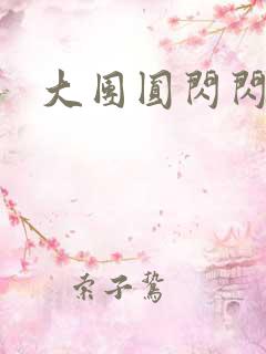 大团圆闪闪发光