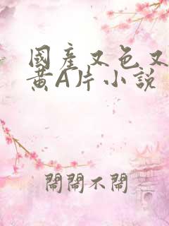 国产又色又爽又黄A片小说