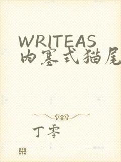WRITEAS内塞式猫尾