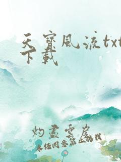 天宝风流txt下载