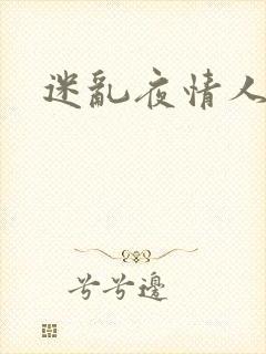 迷乱夜情人