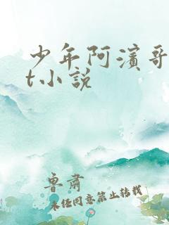 少年阿滨哥txt小说