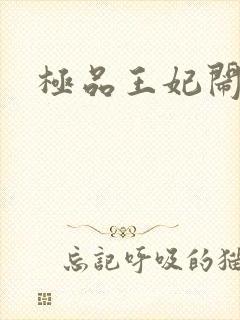 极品王妃闹王府