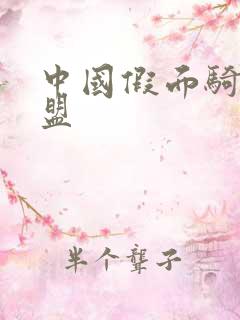 中国假面骑士联盟