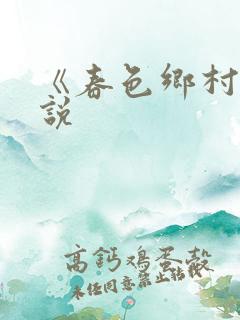 《春色乡村》小说