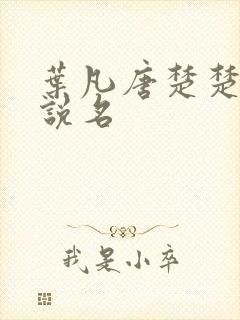 叶凡唐楚楚的小说名