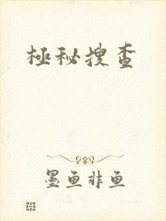 极秘搜查
