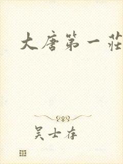 大唐第一庄