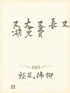 又大又长又租高湖免费