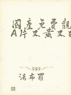 国产免费观看黄A片又黄又硬小说