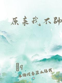 原来我不帅小说